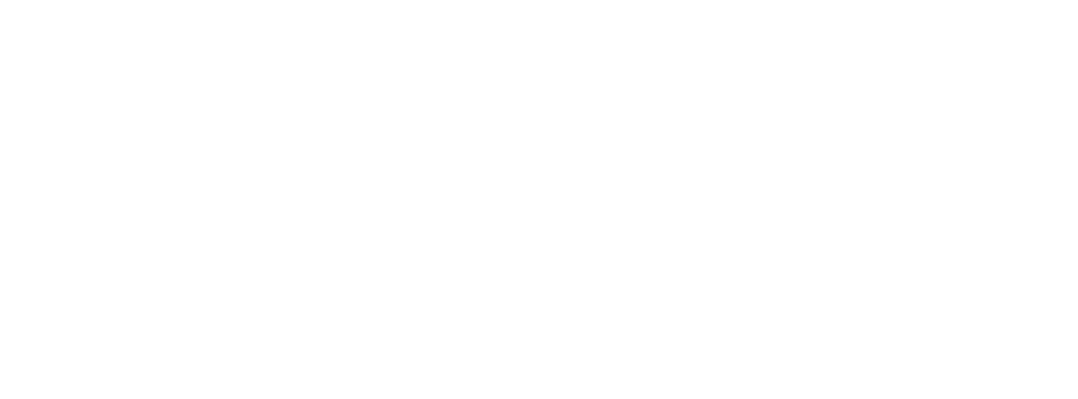 Sana-hero-logo